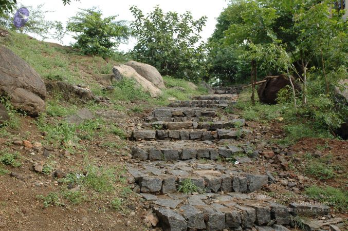 19890520 Photo 251 1kV 5fpTXIAituTaCbTWfqqBq5WcKPbIr.jpg