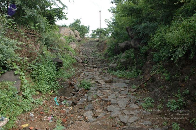 19890520 Photo 253 1NgmPvBDaGl01NnTOt2Lkbiivbms47Rb6.jpg