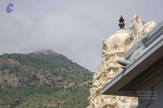 19890520 Photo 34 1Oy2NEnn4N5r7mDuoSJxZqhAPOFleJaSu.jpg