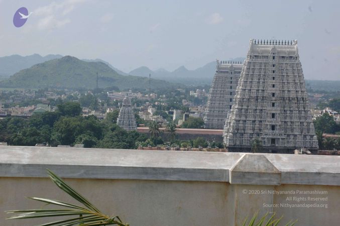 19890520 Photo 35 14OwFQMlehImVHHD85XBor66hf9M4JULz.jpg