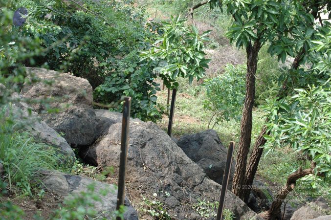 19890520 Photo 3 1KtUZPM2tXVEANj-LV56QM3B806XuiFuO.jpg