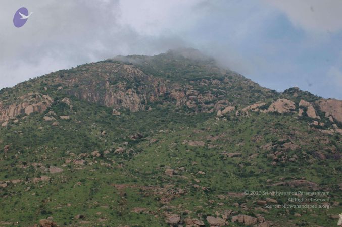 19890520 Photo 50 1QKfWH9U96dHnuseNjZgoKAUC5VTLcLfM.jpg