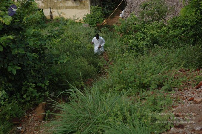 19890520 Photo 52 1GNDfvXxkwvvRlwR6oXZWBm6PorisfLlo.jpg