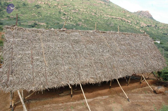 19890520 Photo 57 1 ZuHNpgU0u8eeRGtvv0EmuSpGtPUysVS.jpg