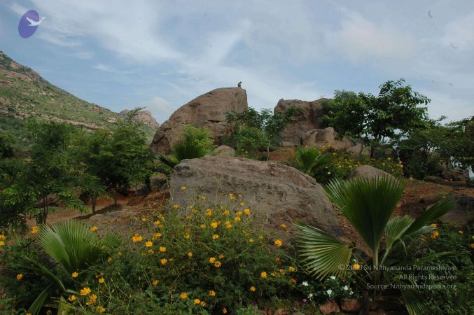 19890520 Photo 60 1w4AabfFK fYjBsclgiaB7FSdIt mzQPO.jpg