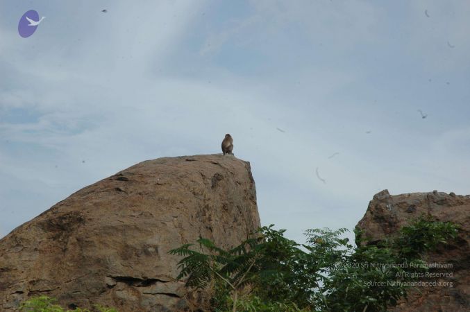 19890520 Photo 61 1TXXcAgq-ebzKb7RAVWYItlQqNSbd82uy.jpg