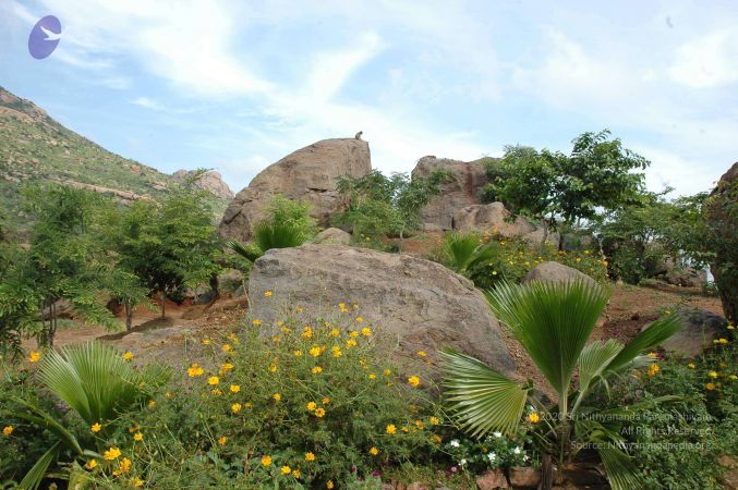 19890520 Photo 62 1wTzzllWrzFANtC1qTMwVMr-cE7U8seDS.jpg