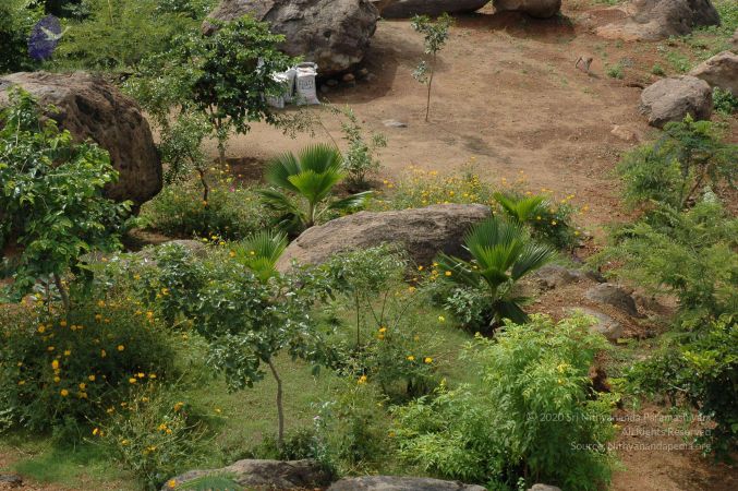 19890520 Photo 75 14nv pcDVsaR b-wtHwN3gD-jYtvNsz24.jpg