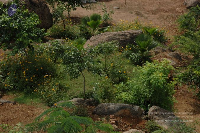 19890520 Photo 76 11HTK6Kb1TWF1zW441a7T5IkIdF7MDUA8.jpg