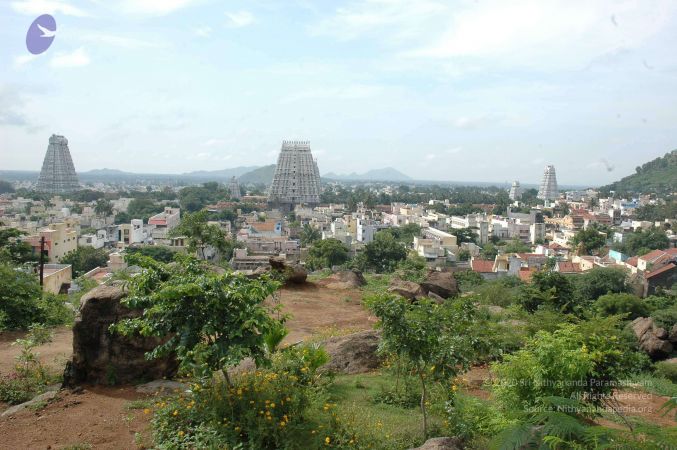 19890520 Photo 79 1 Te4gDkZyDrg4AOOyDe45PUgvAlTb U4.jpg