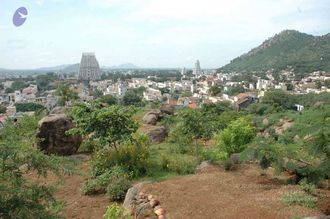 19890520 Photo 80 18xtOqYc0dZlOHxy0 BXFZGaHv9iAReR .jpg