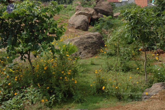 19890520 Photo 81 1n gbTersHyBvC1AfIQs9OXycEYXDyEMY.jpg