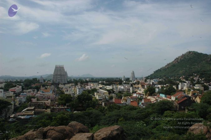 19890520 Photo 89 1dPiePhrr99kHx4lVkX14kHUNQl k7aBF.jpg