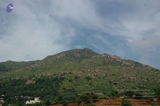 19890520 Photo 91 1wS8G44Jpoq2S1RpZt0mlYFE0Dkv-WvqJ.jpg