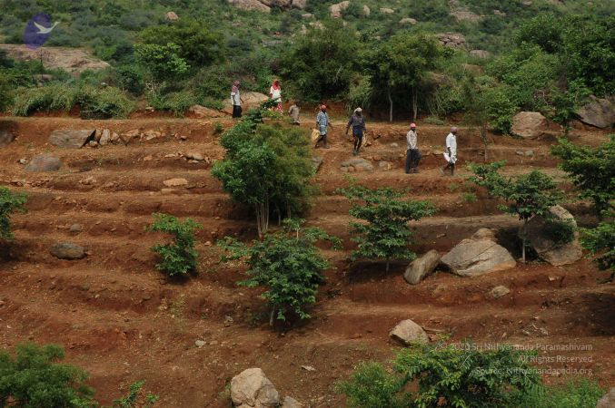 19890520 Photo 99 17WUxuuND-I2zDn8zh7NBsr6cYM W3eJE.jpg