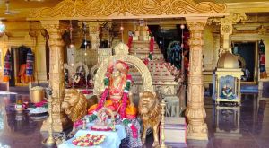 1WhatsApp Image 2023-01-03 at 16.51.28.jpeg