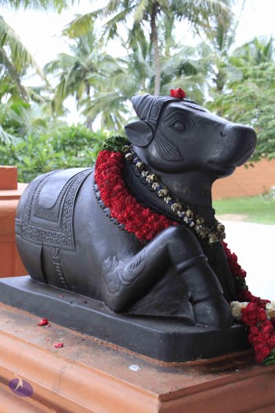 File:1 c MG 1263 CMP WM.jpg