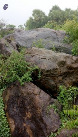 2000 - Nadupazhani12.jpg