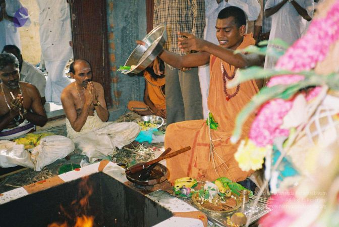 20010101 Photo 5 1-MCS6tRw52f2eWJzS5VRH7UfNzfumwYU.jpg