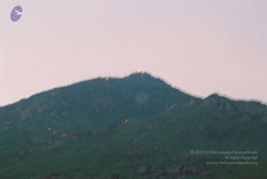 20020101 Photo 241 190wyJzMphU ZR09BeGNXZ6a8cdGK2DBU.jpg