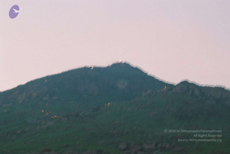 File:20020101 Photo 241 190wyJzMphU ZR09BeGNXZ6a8cdGK2DBU.jpg