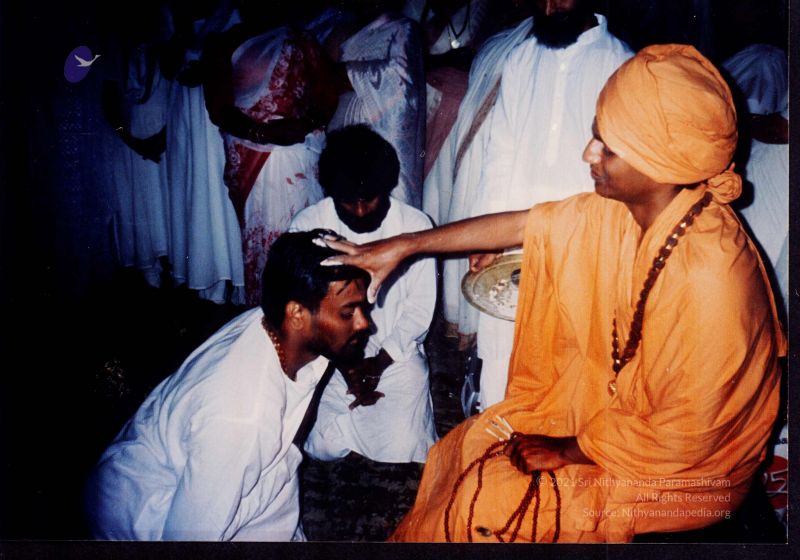 File:20021119 PA-43-05.jpg