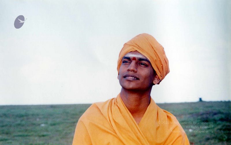 File:2002 PA083 PA-083-029001.jpg