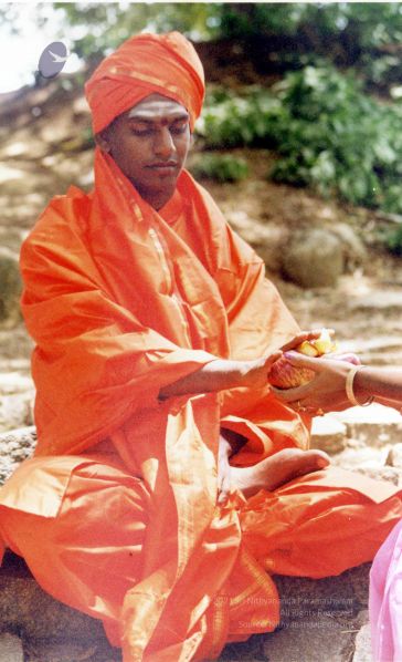 File:2002 PA083 PA-083-060001.jpg