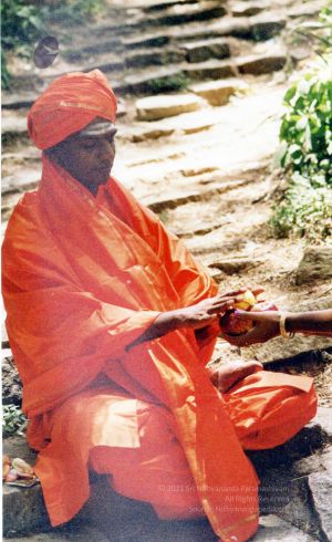 2002 PA083 PA-083-062001.jpg