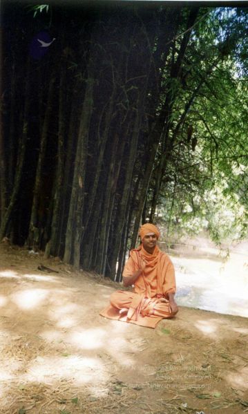 File:2002 PA083 PA-083-077001.jpg