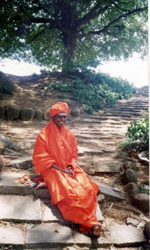 2002 PA083 PA-083-083001.jpg