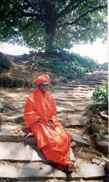 File:2002 PA083 PA-083-083001.jpg