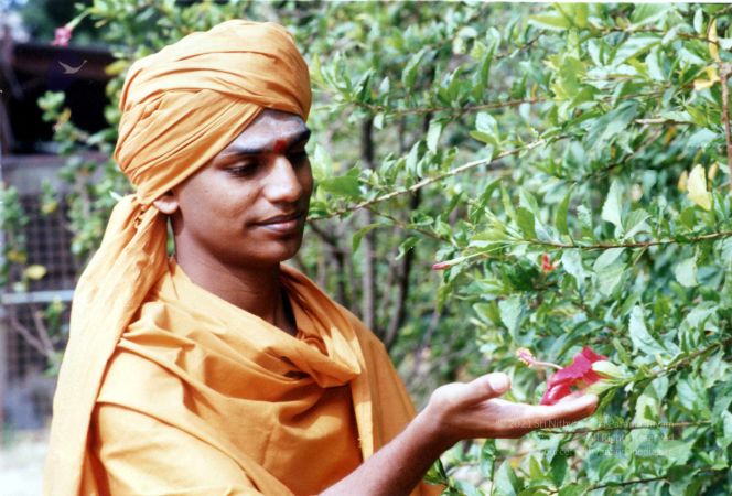 2002 PA083 PA-083-105001.jpg