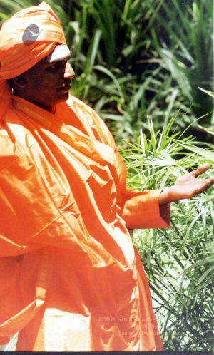 2002 PA083 PA-083-109001.jpg