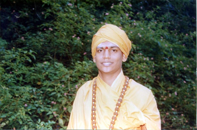 File:2002 PA083 PA-083-149001.jpg