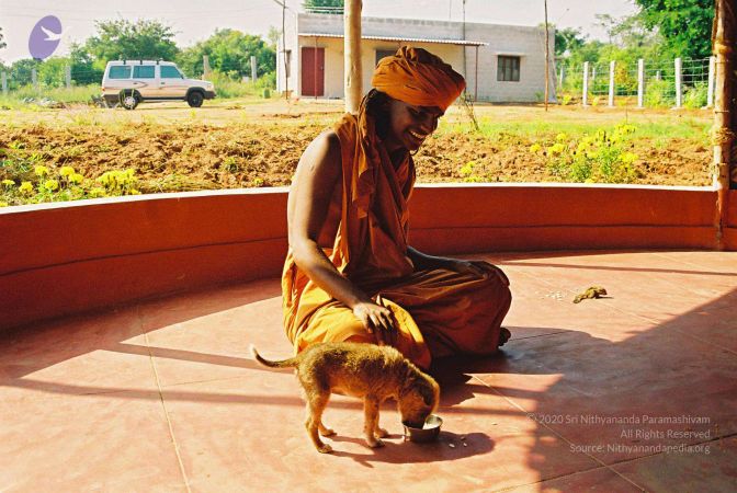 20030101 Photo 10 1h1 tzmpCzp5G9UqahywssSO9dL jEHhx.jpg