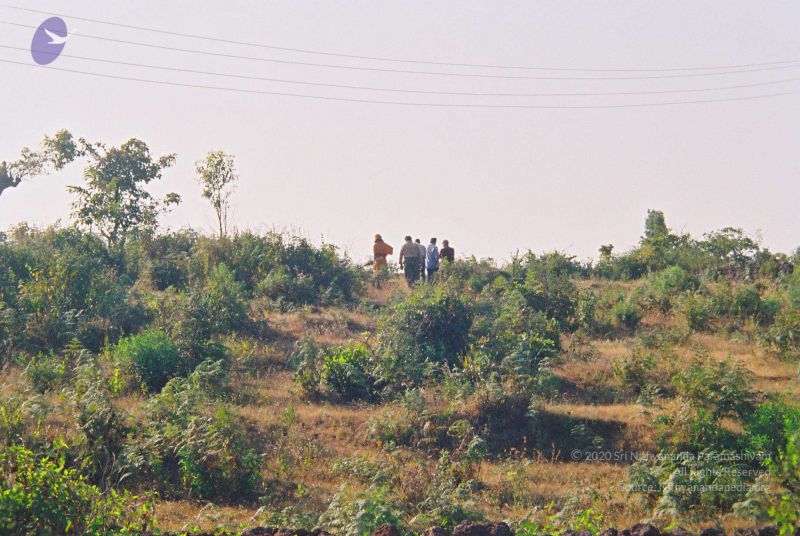 File:20030101 Photo 28 1RbJlTL9AXoNyr h-gdB1dnB5QyqcA9nv.jpg