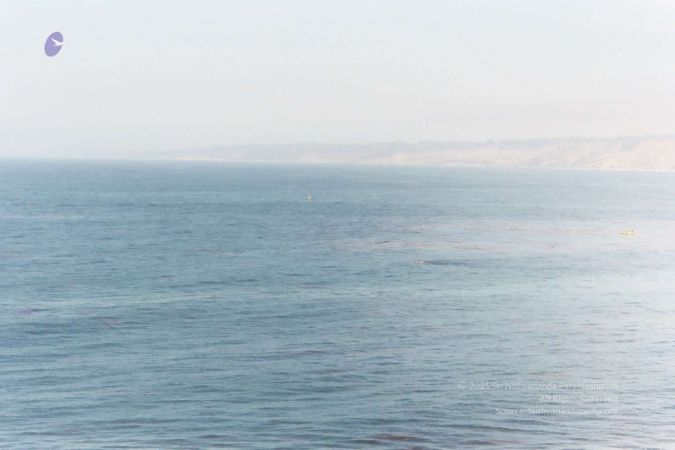 20030801 LosAngeles 20030801 Photo 9 1Zd1nVfXtuk4ewOvE5QbRyVNGC8d5BeOA-08.jpg