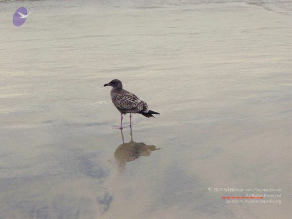 20030809 Photo 25 1uZuZWU6cMKs5QzZOl7IXXaXa2ttwPlts.jpg