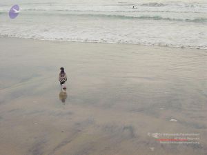 20030809 Photo 27 1yvFYxaDZToRIGIpVmvyF7UPmOtcP UtI.jpg