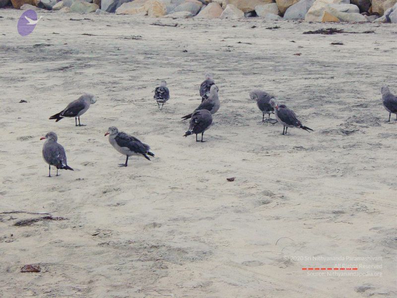 File:20030809 Photo 31 10TShsOU IbOq6xWN2lT2U07hpnp7Q644.jpg