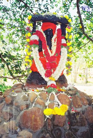 2003 010030 CMP WM.jpg