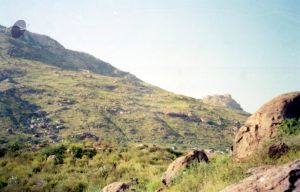 2003 2003PA-458-0650101.jpg