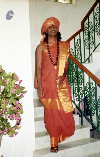 File:2003 2003PA-458-3690101.jpg