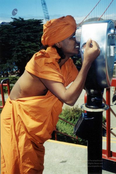 File:2003 PA-239PA-239-0030100.jpg