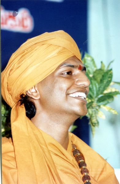 File:2003 PA-259PA-259-0130100.jpg