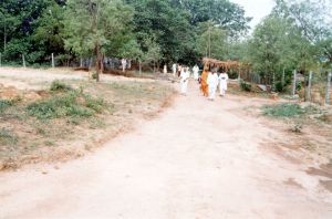 2003 PA-398 PA-398 0060100.jpg