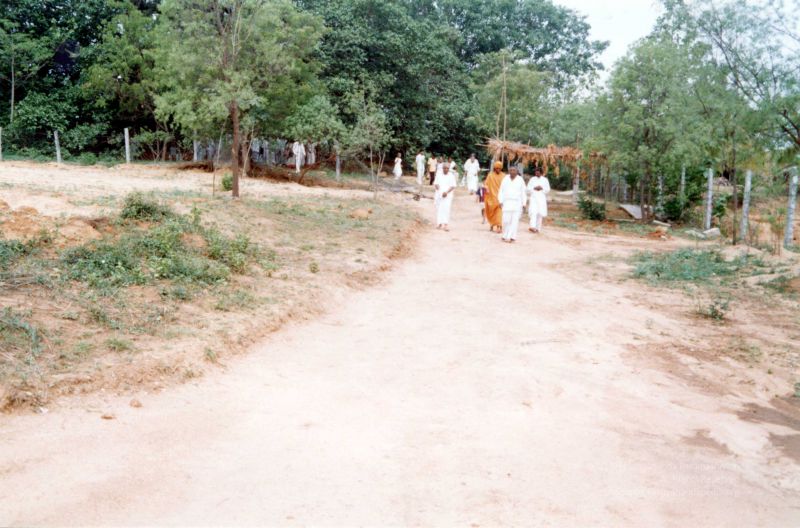 File:2003 PA-398 PA-398 0060100.jpg