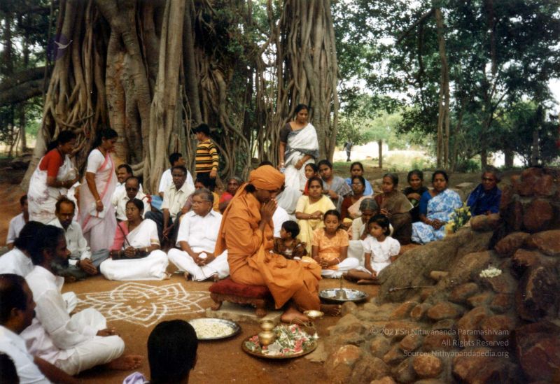 File:2003 PA-398 PA-398 0440100.jpg