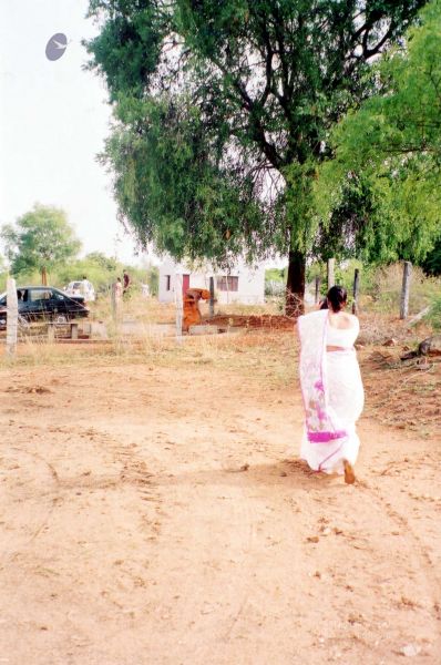 File:2003 PA-398 PA-398 0450100.jpg